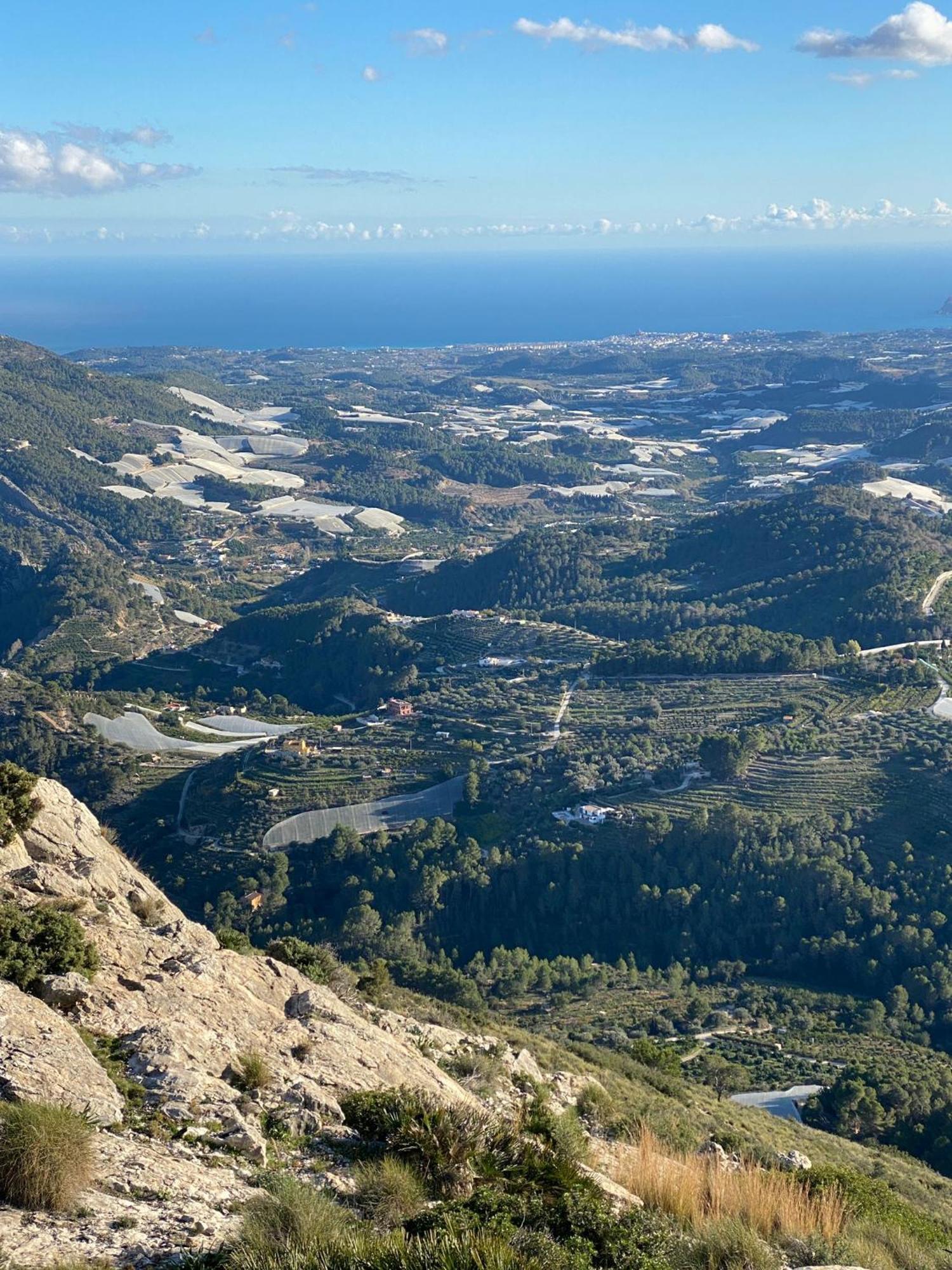 Finca Oliva Bolulla Kültér fotó