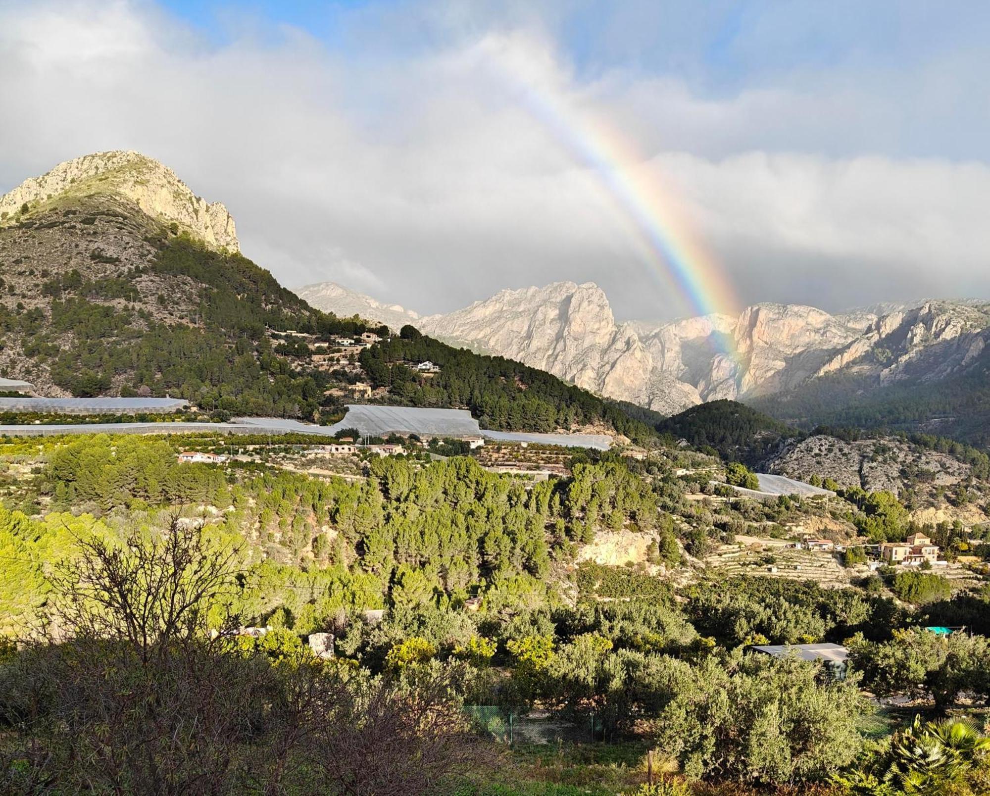 Finca Oliva Bolulla Kültér fotó